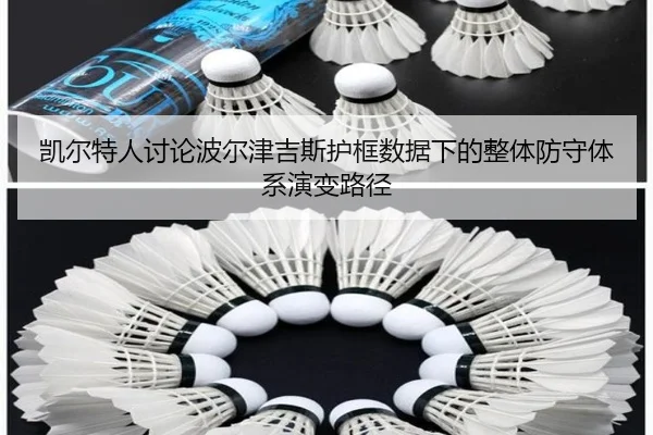 凯尔特人讨论波尔津吉斯护框数据下的整体防守体系演变路径